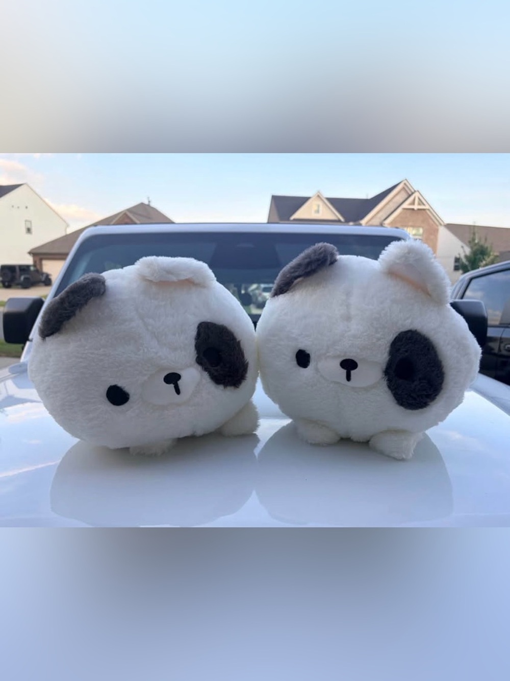 Kawaii Anime Plush White & Gray Dog
